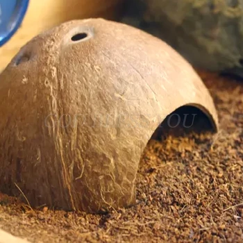 Reptile Hide Habitat Natural Coconut Shell Lizard Spider Small Animal Cave House Drop Shipping
Reptile Hide Habitat Natural Coconut Shell Lizard Spider Small Animal Cave House Drop Shipping