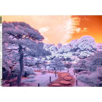 Rice paper for decoupage craft Premier, A3, Japanese park 25 g/m, art. Cpd0737
Rice paper for decoupage craft Premier, A3, Japanese park 25 g/m, art. Cpd0737