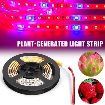 High Brightness LED Strip Hydroponic Greenhouse Plant Flower Grow Light 5050 1-5M Indoor Flexible Lamp Vegetables Light Strip
High Brightness LED Strip Hydroponic Greenhouse Plant Flower Grow Light 5050 1-5M Indoor Flexible Lamp Vegetables Light Strip