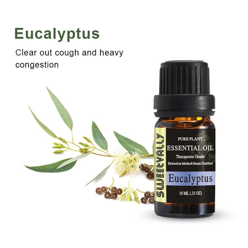 1pc Eucalyptus Essential Oil Natural Plant Aromatherapy Fragrance Essential Oils for Home Air Humidifier Freshener Relaxing 10ml
1pc Eucalyptus Essential Oil Natural Plant Aromatherapy Fragrance Essential Oils for Home Air Humidifier Freshener Relaxing 10ml