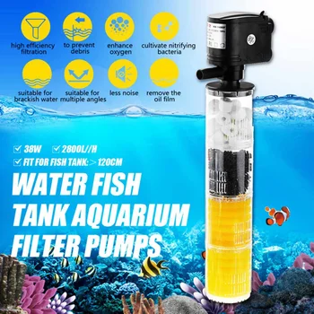 3 in 1 Mini Aquarium Filter Fish Tank Internal Filter 4 Layers Fish Tank Submersible Water Pump Air Oxygen Increase
3 in 1 Mini Aquarium Filter Fish Tank Internal Filter 4 Layers Fish Tank Submersible Water Pump Air Oxygen Increase