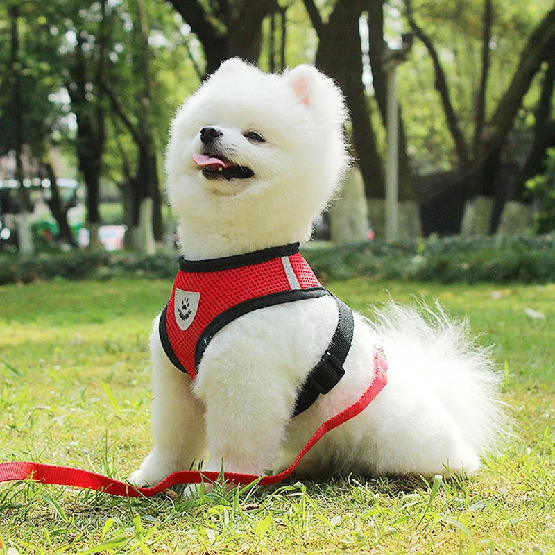 Mesh Reflective Pet Dog Collar Leash Dog Harness Leash Set Breathable for Small Medium Large Dogs Nylon Vest Harness Collar
Mesh Reflective Pet Dog Collar Leash Dog Harness Leash Set Breathable for Small Medium Large Dogs Nylon Vest Harness Collar