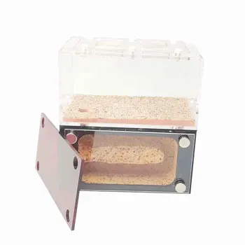 Large-sized Ant Gypsum Nest Acrylic Ant Castle Farm Independent Activity Area and Medium or Large Colony's Nest
Large-sized Ant Gypsum Nest Acrylic Ant Castle Farm Independent Activity Area and Medium or Large Colony's Nest