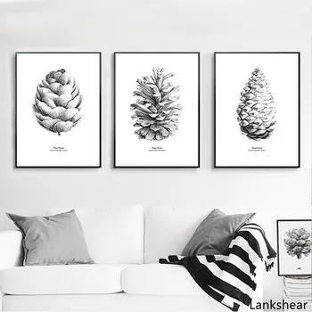 Nordic Hand Draw Pine Cone Canvas Painting Black And White Wall Art Posters And Prints Living Room Home Decorative Pictures
Nordic Hand Draw Pine Cone Canvas Painting Black And White Wall Art Posters And Prints Living Room Home Decorative Pictures
