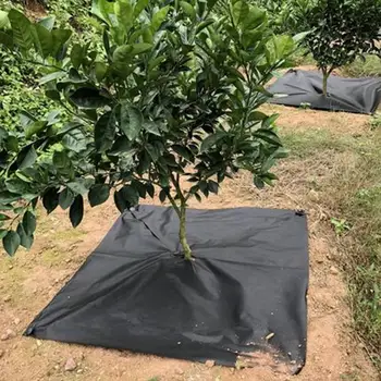 10pcs 1m Weed Barrier Fabric Agriculture Greenhouse Garden Weed Control Orchard Landscape Plant Weeding Ground Cloth Cover
10pcs 1m Weed Barrier Fabric Agriculture Greenhouse Garden Weed Control Orchard Landscape Plant Weeding Ground Cloth Cover