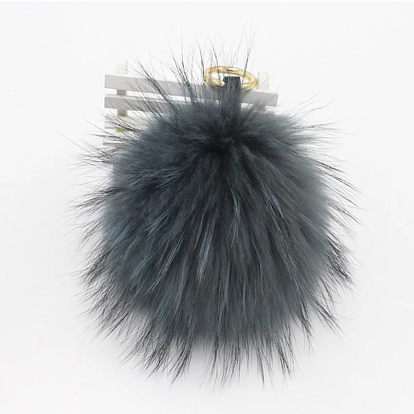 zhu31