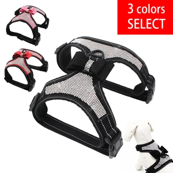 Dog Adjustable Harness Vest Walking Lead Leash For Puppy Dogs Collar Polyester Mesh Harness For Small Medium Dog Cat Pet
Dog Adjustable Harness Vest Walking Lead Leash For Puppy Dogs Collar Polyester Mesh Harness For Small Medium Dog Cat Pet