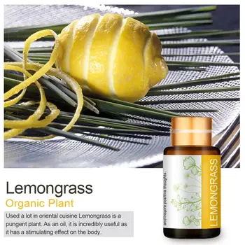 5ml Peppermint Essential Oils Aromatherapy Kit Therapeutic Grade Oils for Body Massage Relax Gifts Freshening Essential Oil
5ml Peppermint Essential Oils Aromatherapy Kit Therapeutic Grade Oils for Body Massage Relax Gifts Freshening Essential Oil