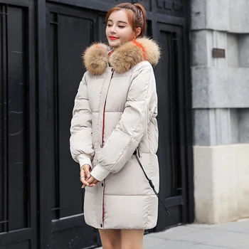 2020 new design Korean Style Winter Jacket Women Stand Collar Solid Female Down Coat Loose Oversized Womens Short Parka coat 13
2020 new design Korean Style Winter Jacket Women Stand Collar Solid Female Down Coat Loose Oversized Womens Short Parka coat 13