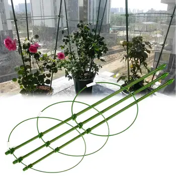 Plant Support Frame Plant Trellis Vine Climbing Rack 45cm Eggplants Peppers Diy Flower Decorative Gardening Tools
Plant Support Frame Plant Trellis Vine Climbing Rack 45cm Eggplants Peppers Diy Flower Decorative Gardening Tools