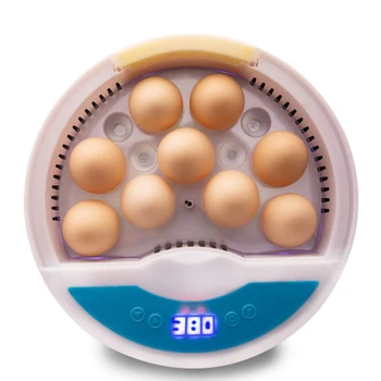 Mini Egg Incubator Automatic Brooder Machine For Chicken Duck Bird Pigeon 9 Eggs Hatchers 110/220V Brooder Tools