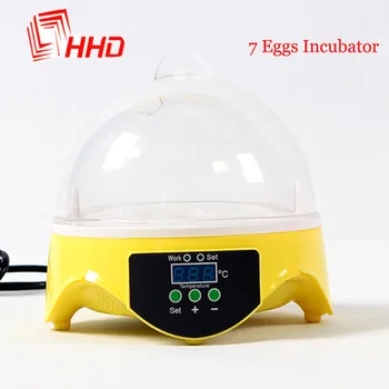 Cheap Price Egg Incubator Child Automatic Mini 7 Eggs Hatchery machine Poultry Brooder Digital Temperature Humidity Control
Cheap Price Egg Incubator Child Automatic Mini 7 Eggs Hatchery machine Poultry Brooder Digital Temperature Humidity Control