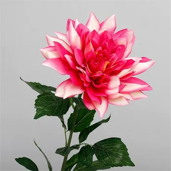 12Pcs Fake Long Stem Dahlia 41.34" Length Simulation Aztec Dahlias for Wedding Home Decorative Artificial Flowers
12Pcs Fake Long Stem Dahlia 41.34" Length Simulation Aztec Dahlias for Wedding Home Decorative Artificial Flowers