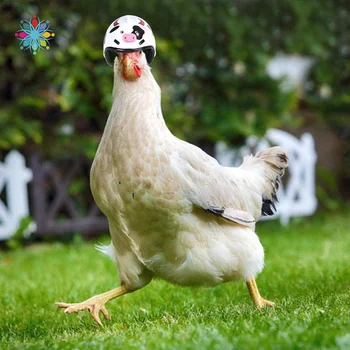 4/3/2/1Pcs Chicken Helmet For Pets Funny Protective Chicken Helmet Hen Chicken Hard Hat Bird Hat Hood TLS 
4/3/2/1Pcs Chicken Helmet For Pets Funny Protective Chicken Helmet Hen Chicken Hard Hat Bird Hat Hood TLS