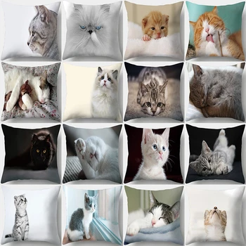 Cute Cat Print Decorative Cushions Pillowcase Polyester Cushion Cover Throw Pillow Sofa Living Room Decoration Pillowcover 40956 
Cute Cat Print Decorative Cushions Pillowcase Polyester Cushion Cover Throw Pillow Sofa Living Room Decoration Pillowcover 40956