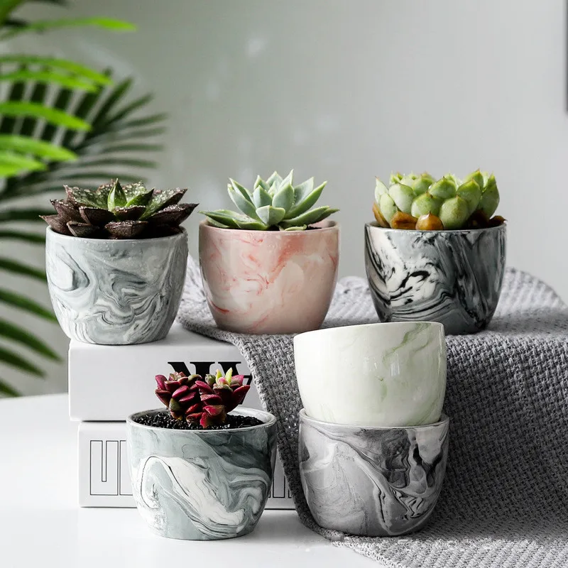 Creative Ceramic Flower Pots for Fleshy Succulent Plant Animal Style Planter Home Garden Office Decoration
Creative Ceramic Flower Pots for Fleshy Succulent Plant Animal Style Planter Home Garden Office Decoration