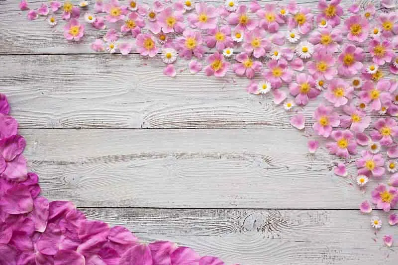 SHUOZHIKE Vinyl Custom Photography Backdrops Prop Wood Planks Theme Photo Studio Background 19910-04
SHUOZHIKE Vinyl Custom Photography Backdrops Prop Wood Planks Theme Photo Studio Background 19910-04
