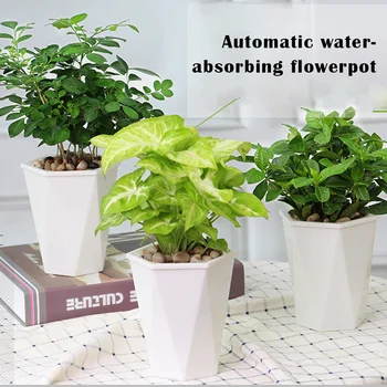 Colored Plastic Flower Pots Indoor Flower Pots Modern Decoration with Drained Inventory of All Indoor Plants
Colored Plastic Flower Pots Indoor Flower Pots Modern Decoration with Drained Inventory of All Indoor Plants