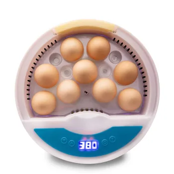 Egg Incubator LED Light Poultry Brooder Temperature Adjustable Small Bird Chicken Duck Full Automatic Digital 9 Eggs Machine
Egg Incubator LED Light Poultry Brooder Temperature Adjustable Small Bird Chicken Duck Full Automatic Digital 9 Eggs Machine