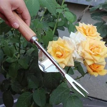 Weeder Fork Stainless Steel Wood Handle Gardening Weeding Tool Transplanting Digging Tools Manual Root Hand Digging Pulle
Weeder Fork Stainless Steel Wood Handle Gardening Weeding Tool Transplanting Digging Tools Manual Root Hand Digging Pulle