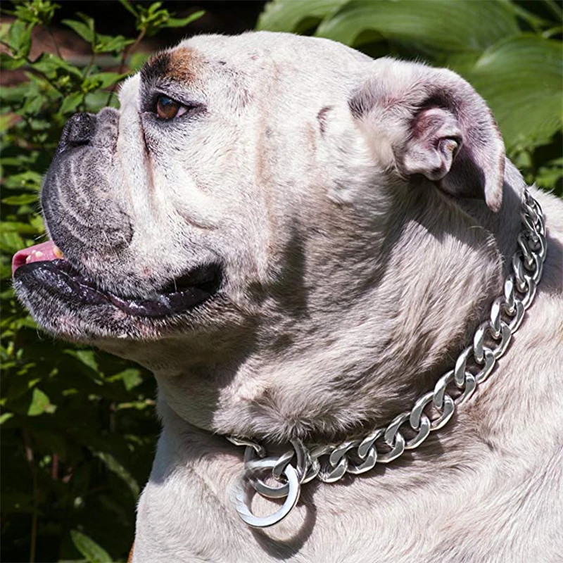 Tiasri Stainless Steel Dog Collar O Chain Plated Traction Leads Pet Collars Necklace Pet Supplies for Small Large Dogs 12-30inch
Tiasri Stainless Steel Dog Collar O Chain Plated Traction Leads Pet Collars Necklace Pet Supplies for Small Large Dogs 12-30inch