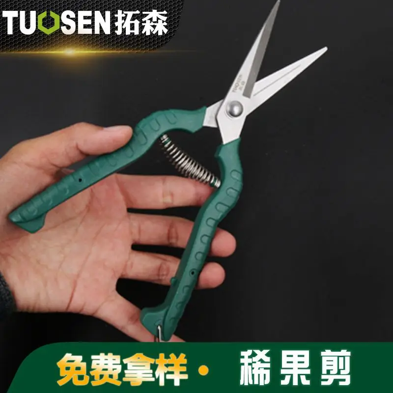 Extension Sen Gardening Shears Stainless Steel Straight Greek guo jian Fruit Picking Scissors Grape Garden Scissors 8-Inch Fruit
Extension Sen Gardening Shears Stainless Steel Straight Greek guo jian Fruit Picking Scissors Grape Garden Scissors 8-Inch Fruit