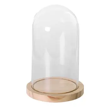 Transparent glass bell glass suction glass jars with wooden floor for flowers plants gift L
Transparent glass bell glass suction glass jars with wooden floor for flowers plants gift L