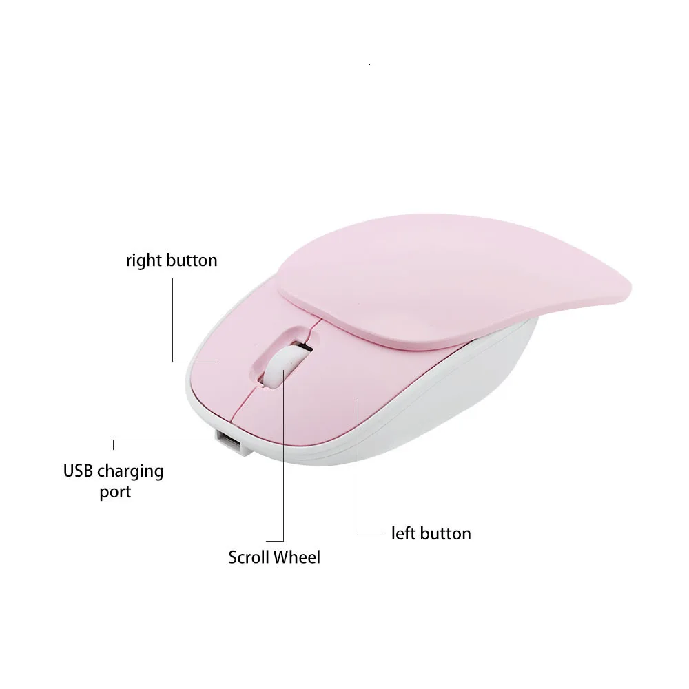 rechargeable mouse.jpg