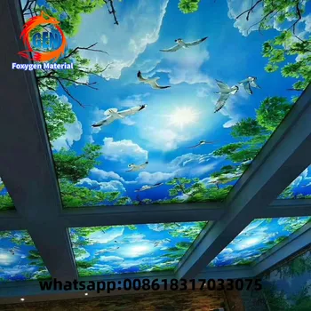 Heat Insulation Function PVC material ceiling 3d effect stretch ceiling lighting box pvc ceiling panel fabric
Heat Insulation Function PVC material ceiling 3d effect stretch ceiling lighting box pvc ceiling panel fabric