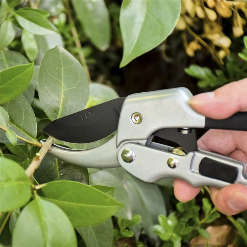 Gardening Grafting Tools Special Grafting Scissors for Pruning Fruit Tree Grafting Knife Manual Labor-saving Grafting Scissors
Gardening Grafting Tools Special Grafting Scissors for Pruning Fruit Tree Grafting Knife Manual Labor-saving Grafting Scissors