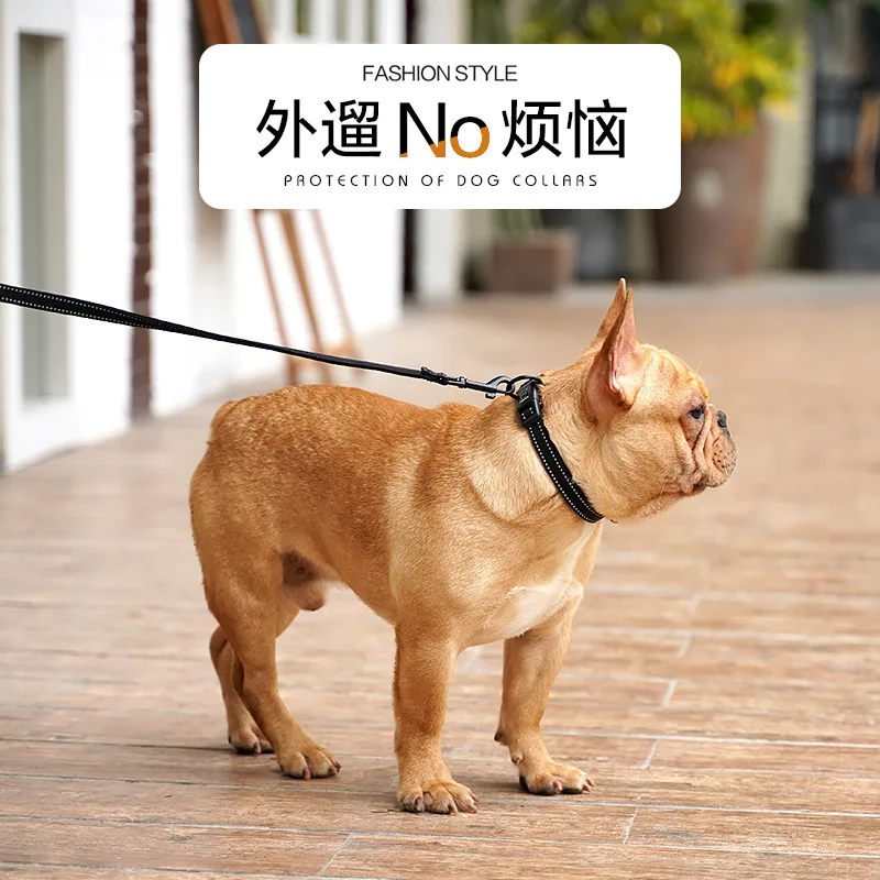 Direct Supply Nylon Diving Deployment Le-Reflective Neck Ring Hand Holding Rope Dog Neck Ring Pet Supplies
Direct Supply Nylon Diving Deployment Le-Reflective Neck Ring Hand Holding Rope Dog Neck Ring Pet Supplies