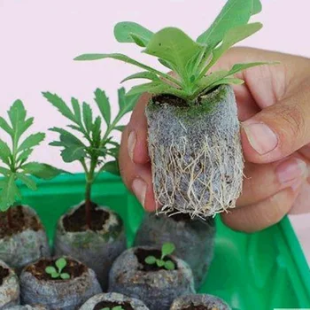 

3cm Seedling Mud Compression Nutrient Planting Soil Block Planting Home Gardening Articles For Flowers 50pcs/set