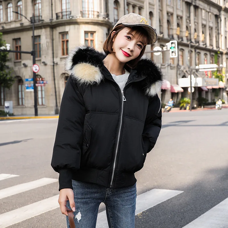Cotton Coat Women's 2019 Winter Loose-Fit Elegant Closing Short Long Sleeve Fur Collar Hooded down Feather Cotton-padded Clothes 
Cotton Coat Women's 2019 Winter Loose-Fit Elegant Closing Short Long Sleeve Fur Collar Hooded down Feather Cotton-padded Clothes