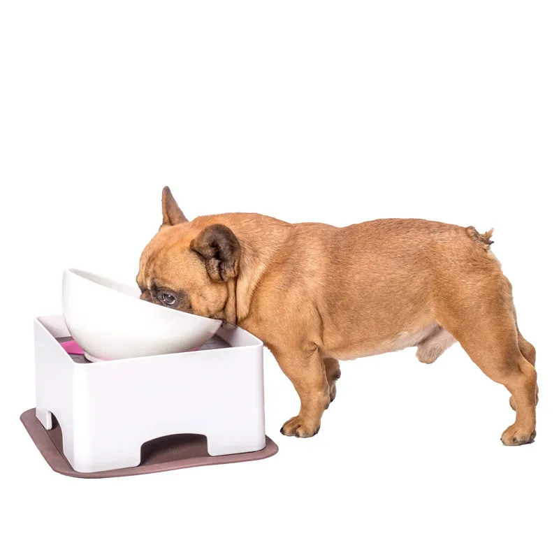 Pet Antiskid Dining Table Plastic Dining Table Inclined Bowl Table Cat Table Pago Dog Fighting Bowl Cat Bowl Feeder Cat Food
Pet Antiskid Dining Table Plastic Dining Table Inclined Bowl Table Cat Table Pago Dog Fighting Bowl Cat Bowl Feeder Cat Food