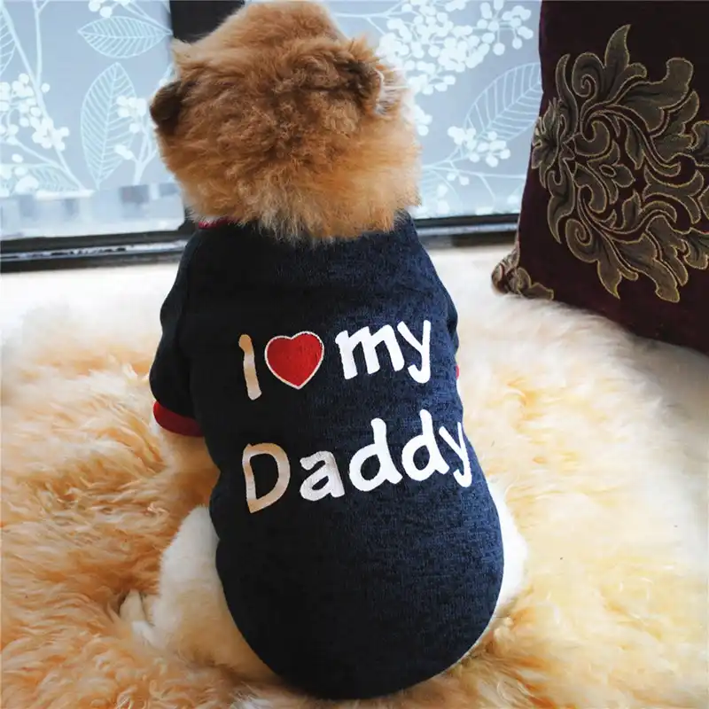dog knitwear