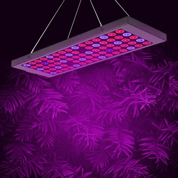 Full Spectrum Plant Grow Light 600W For Flower Plant Vegetables Hydroponics System Grow Tent Plant Grow Box Lamp
Full Spectrum Plant Grow Light 600W For Flower Plant Vegetables Hydroponics System Grow Tent Plant Grow Box Lamp