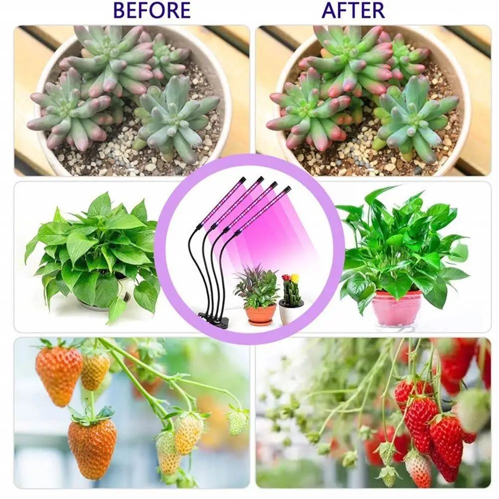 Plants Growth Light 9 Dimmable Levels Greenhouse Plant Energy Saving Plant Lamp Led Grow Light with Clip 40W 3H/9H/12H
Plants Growth Light 9 Dimmable Levels Greenhouse Plant Energy Saving Plant Lamp Led Grow Light with Clip 40W 3H/9H/12H