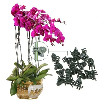 50PCS Plastic Plant Support Clips Orchid Stem Clip for Vine Support Vegetables Flower Tied Bundle Branch Clamping Garden Tool
50PCS Plastic Plant Support Clips Orchid Stem Clip for Vine Support Vegetables Flower Tied Bundle Branch Clamping Garden Tool