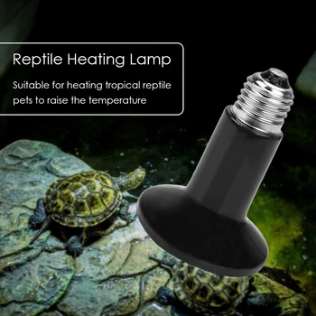 Infrared Ceramic Pet Heating Lamp Reptile Light Brooder Chicken Turtle Basking for Household Turtle Care Accessories
Infrared Ceramic Pet Heating Lamp Reptile Light Brooder Chicken Turtle Basking for Household Turtle Care Accessories