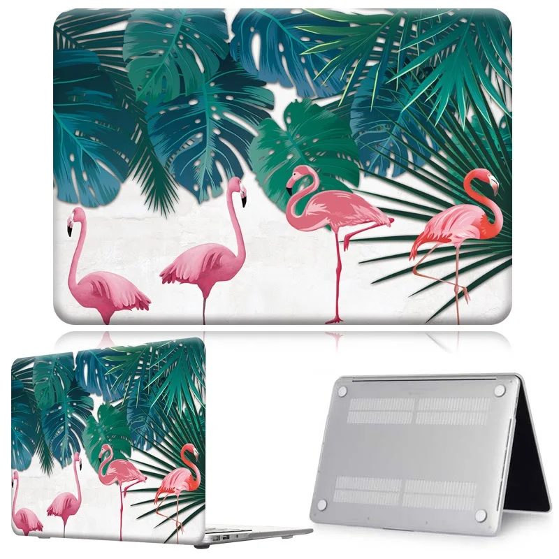 Flamingo013