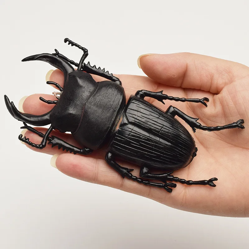 6 style 13cm simulation beetle Toys Special Lifelike Model Simulation insect Toy nursery teaching aids joke toys
6 style 13cm simulation beetle Toys Special Lifelike Model Simulation insect Toy nursery teaching aids joke toys