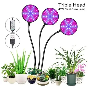 Grow Light Plant Light Auto ON & Off Timing Function LED Grow Lights Plant Lamp 5 Level Dimming 1/2/3 Head Bulb with Flexible
Grow Light Plant Light Auto ON & Off Timing Function LED Grow Lights Plant Lamp 5 Level Dimming 1/2/3 Head Bulb with Flexible