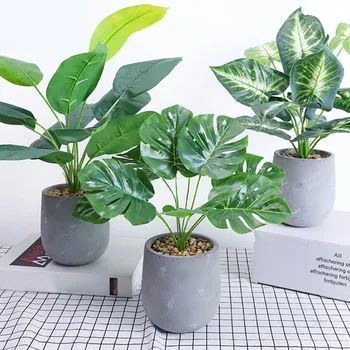 Simulation Green Radish Plant Bonsai Fake Small Tree Pot Plants Artificial Flower Turtle Leaf Desktop Home Garden Fake Flowers
Simulation Green Radish Plant Bonsai Fake Small Tree Pot Plants Artificial Flower Turtle Leaf Desktop Home Garden Fake Flowers