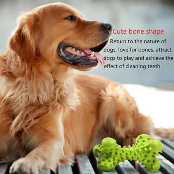 Pet Toy Dog Molar Training DropShip Pet Dog Toy Bite-Resistant Molar Cleaning Tooth Rubber Toy with Thorn Bone
Pet Toy Dog Molar Training DropShip Pet Dog Toy Bite-Resistant Molar Cleaning Tooth Rubber Toy with Thorn Bone