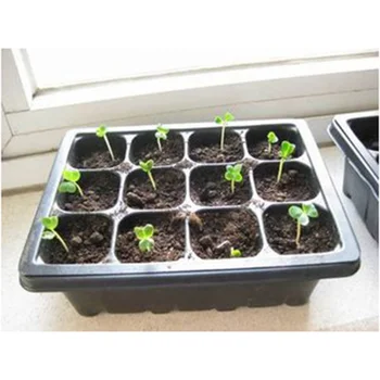 10 Pcs 18x14x6cm Seedling Tray Sprout Plate 12-Cells Nursery Pots Tray with Transparent Lids Box For Gardening Bonsai (Black)
10 Pcs 18x14x6cm Seedling Tray Sprout Plate 12-Cells Nursery Pots Tray with Transparent Lids Box For Gardening Bonsai (Black)