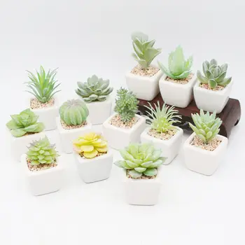 Idyllic wind simulation succulent bonsai Candidaceae fake potted decoration Decoration bonsai flower green plant pendulum
Idyllic wind simulation succulent bonsai Candidaceae fake potted decoration Decoration bonsai flower green plant pendulum