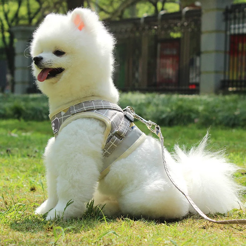 New Mesh Pet Cats and Dog Reflective Dogs Harness and Leash Breathable Mesh Vest for Small Dogs Reflective Pet Collar for Puppy
New Mesh Pet Cats and Dog Reflective Dogs Harness and Leash Breathable Mesh Vest for Small Dogs Reflective Pet Collar for Puppy