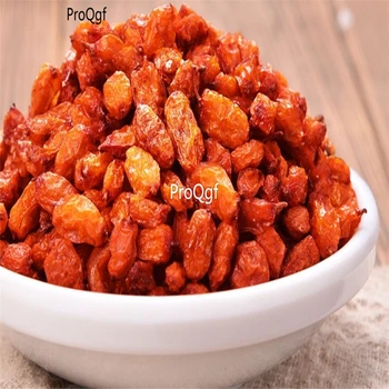 Ngryise 250Gram A Set rare hot Hippophae rhamnoides 
Ngryise 250Gram A Set rare hot Hippophae rhamnoides
