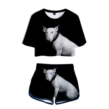 2019 Terrier 3D print Basic Women 2 Pic Set hip hop cool kpop Street Fashion Summer Personality T-shirt and Short Pants Sets
2019 Terrier 3D print Basic Women 2 Pic Set hip hop cool kpop Street Fashion Summer Personality T-shirt and Short Pants Sets