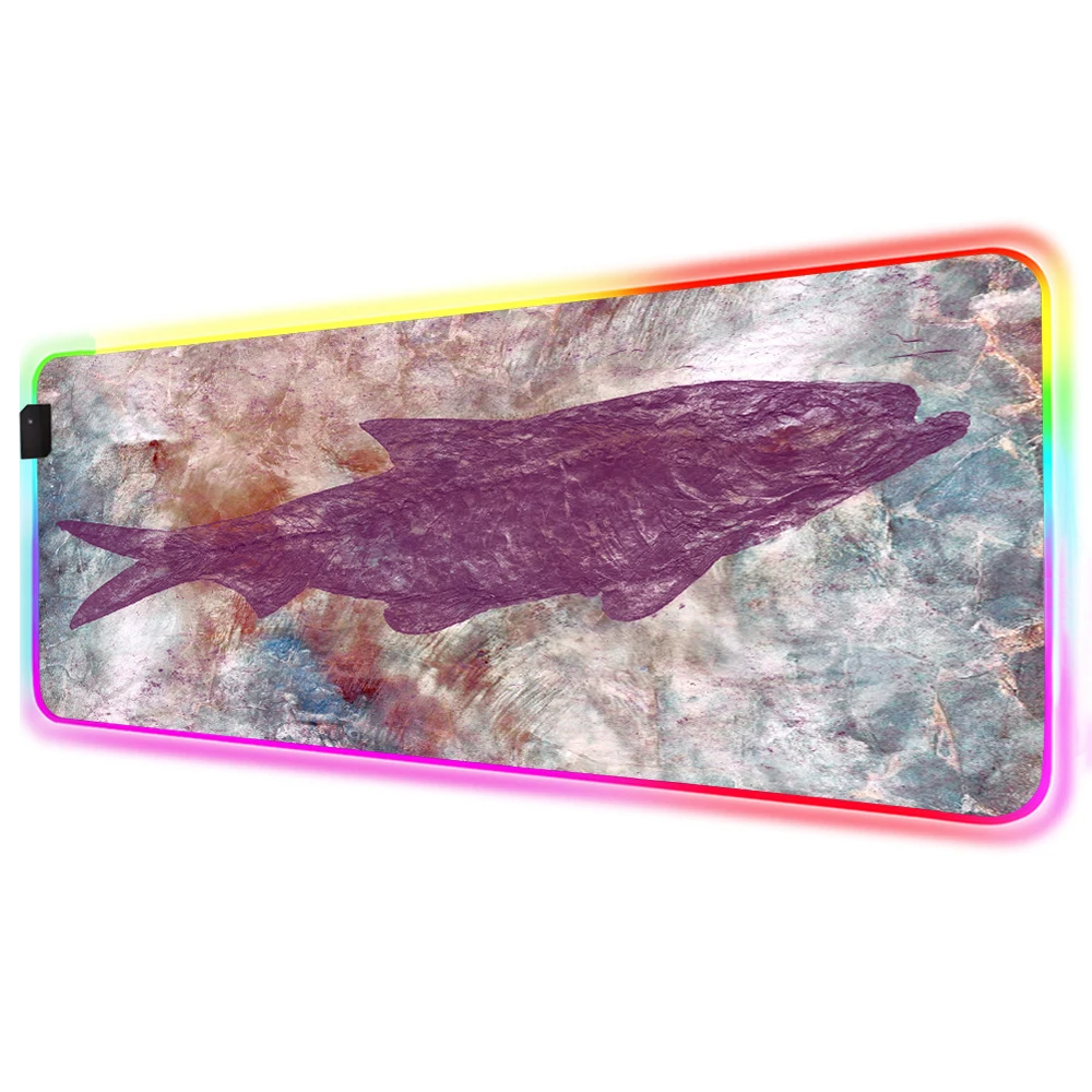 Mairuige Marble Pattern Life Fossil Fish RGB Various Large Size Mousepad LED Backlight USB Computer Desk Pad Custom Mousepad XXL
Mairuige Marble Pattern Life Fossil Fish RGB Various Large Size Mousepad LED Backlight USB Computer Desk Pad Custom Mousepad XXL